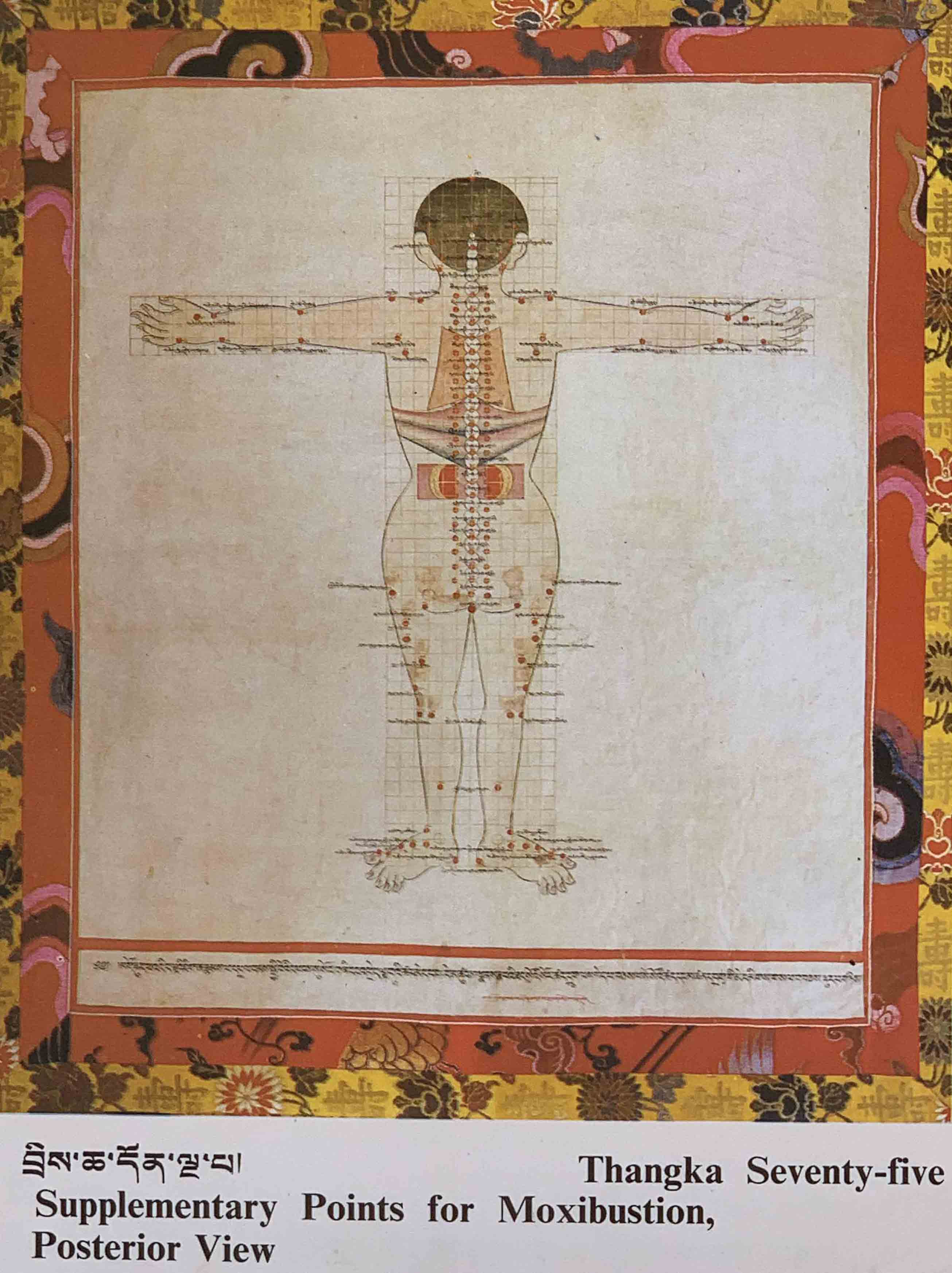 八十一醫典唐卡61--75